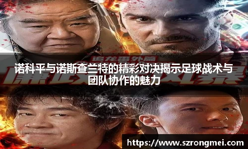 风云体育登录入口